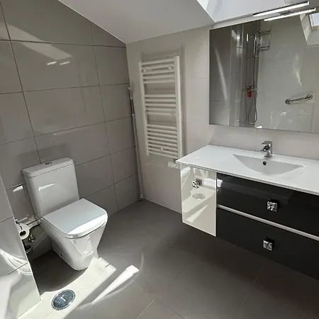 Grand De Standing Au Coeur De La Διαμέρισμα Pombal (Leiria)